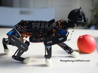 OpenCat